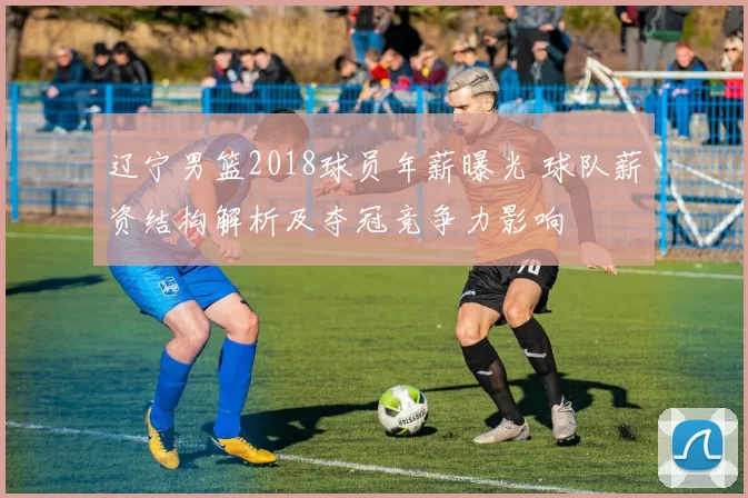 辽宁男篮2018球员年薪曝光 球队薪资结构解析及夺冠竞争力影响