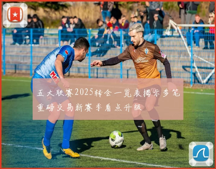 五大联赛2025转会一览表揭示多笔重磅交易新赛季看点升级